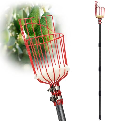 DonSail Fruit Picker Pole with Basket Telescoping, Citrus Orange Picker Pole with Basket 35-150 inch Long Handle, Mango Avocado Fig Acorn Pear Pomelo Chery Lemon Picker for Tree - size: 35-150"