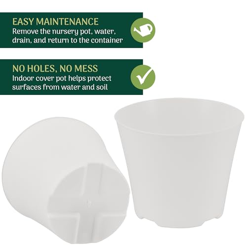 Arcadia Garden Products 4-Pack Plastic Pot, Fits [ 6” Azalea Style] Nursery Grow Pot – No Drainage Hole (Drillable), Minimal Cover Planter for Indoor Plants, Herbs, Flowers, Seedlings, [White] - color: White, size: 6 Inch Azalea