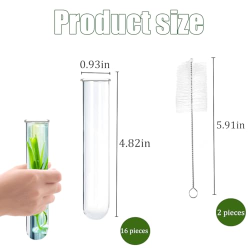 15Pcs Glass Tubes for Plants, Plant Propagation Tube Test Tubes for Scientific Experiments 20 ml Glass Test Tubes for Hydroponic Plants, Home Office Wall Decor (12cm) - size: 4.75x0.9 Inch