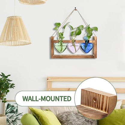 Plant Terrarium Propagation Stations Hydroponics - color: Mixed Color
