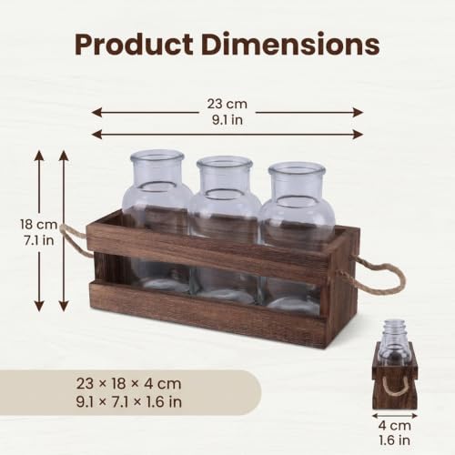Plant Propagation Station, 3-Pc Wooden Desk Plant Stand with Glass Vases