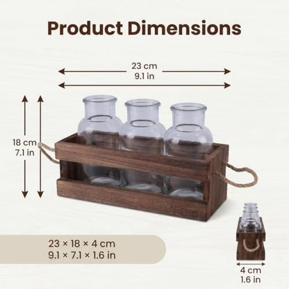 Plant Propagation Station, 3-Pc Wooden Desk Plant Stand with Glass Vases