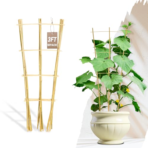Avalution 10 Pack Bamboo Trellis for Climbing Plants, 3 FT Garden Ladder Trellis for Potted Plants Indoor, Fan-Shaped Small Plant Support Trellis for Houseplants Ivy Hoya Vine Monstera - color: Fan-Shaped, size: 10 PACK-36 inches
