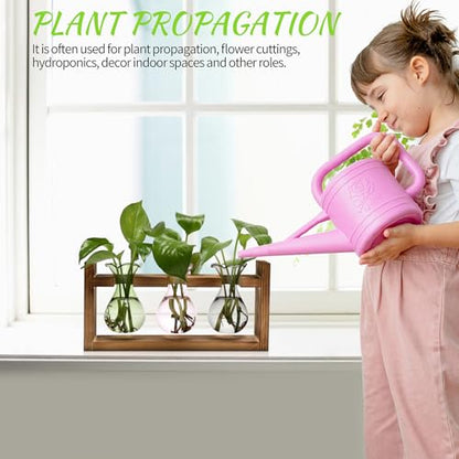 Plant Propagation Station Plant Terrarium Unique Birthday Gifts for Women - color: Color02