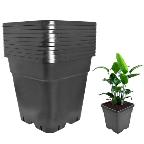 Plant Pots Flower Pot 10-Pack 3 Gallon Planter Nursery Pot Garden Seedling Planters Containers Plastic Injection Molded Pots with Drainage Holes for Outdoor Indoor Plants Vegetables, Black - color: Black, size: 3 Gallon - Square