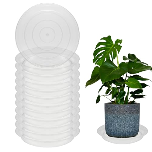12 Pcs 6 Inch Round Plant Saucers for Less 5 Inch Pot Indoors Outdoors Plant Trays for Pots Planter Saucer Plastic Drip Tray Planter Water Tray(Clear, 6"(12pcs)) - color: Clear, size: 6"(12pcs)