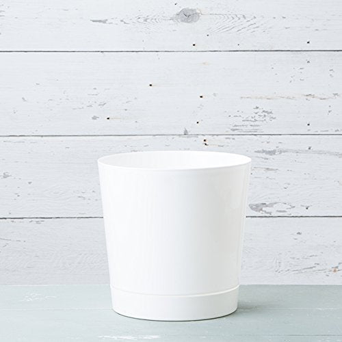 Root & Vessel Majestic Full Depth Cylinder Pot, Glossy White, 14-Inch (10142) - color: White, size: 14 Inch