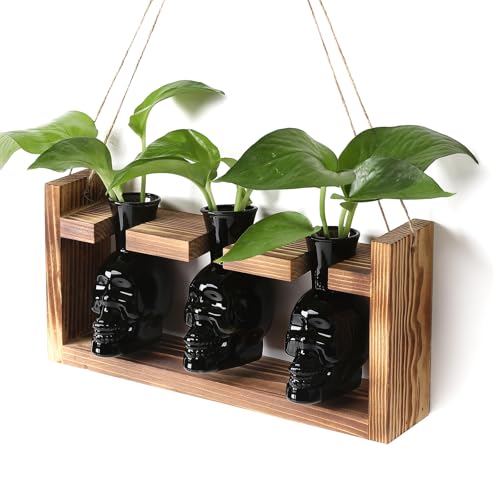 Plant Terrarium Propagation Stations Skull Planter Vase Skulls Decor - color: Black