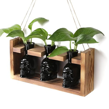 Plant Terrarium Propagation Stations Skull Planter Vase Skulls Decor - color: Black