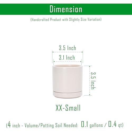 D'vine Dev 2-Pack Ceramic Pots with Saucers, Oatmeal, 3.5 in, 94-V-A-8 - color: Oatmeal, size: 3.5 Inch