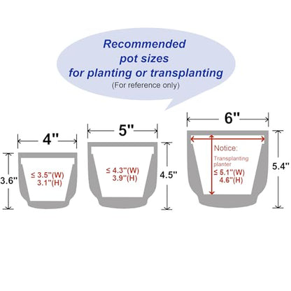 4 + 5 + 6 Inch Ceramic Pots for Indoor Plants, Succulents Plant Pots, Orchid Flower Pot with Drainage Hole, Modern Clay Stoneware Planters, Set of 3 (White, 4+5+6 Inch) - color: White