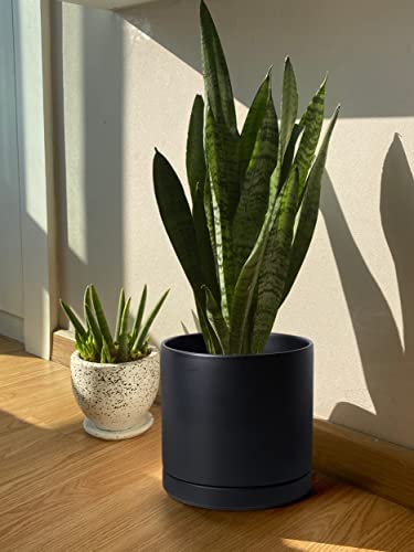 D'vine Dev 12 Inch Ceramic Planter Pot, Black, 94-O-F-2 - color: Black, size: X-Large