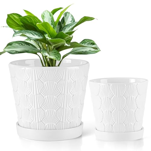 EFISPSS Ceramic Plant Pots, 5+6 Inch Pots for Indoor Plants, Planters with Drainage Holes and Tray, Modern Flower Pots Gardening Home Desktop Office Windowsill Decoration Gift Set of 2 - White - color: White, size: 5+6 Inch