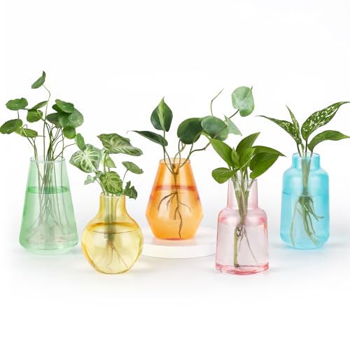 Mkono Propagation Vases 5 Glass Jars Station for Hydroponic Plants,Color - color: Colorful