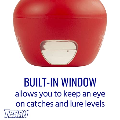 Terro Fruit Fly Traps for Indoors (12 Pack) + 540 Days of Lure Supply - size: 12 Traps