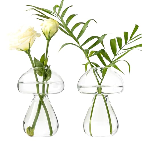 Mushroom Glass Planter, Plant Propagation Station, Cute Mushroom Vase, Clear Glass Terrarium Jar Propagation Vase for Indoor Plants Home Decor, Gifts for Plant Lovers (2)