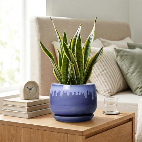 Ceramic Flower Pots, 7 Inch Indoor Planter with Drainage, Blue - size: 7 Inch, style: Blue