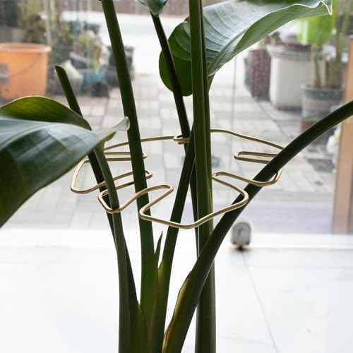 5PCS Metal Plant Stem Support-Monstera Stabilizer Grapple Holder - size: 7.03*6.25IN
