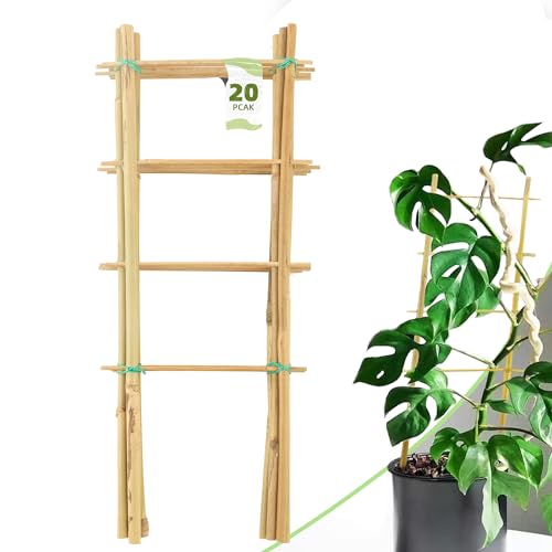 Avalution 20 Pack Bamboo Trellis for Climbing Plants Indoor, 16 Inch Garden Ladder Trellis for Potted Plants, Fan-Shaped Small Plant Support Trellis for Houseplants Ivy Hoya Vine Monstera - color: Ladder-Shaped, size: 20 PACK-16 inches