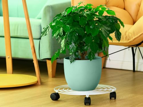 5 Packs Metal Plant Caddy with Locking Wheels 11.8 Inches Heavy-duty Wrought Iron Rolling Plant Stands with Casters Plant Dolly Plant Roller Base for Indoor and Outdoor Plant Pot Movers Saucers White - color: White