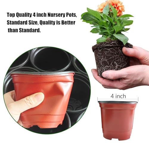 RooTrimmer Plant Nursery Pots with Humidity Domes, 50 Sets 4 Inch Soft Nursery Pots Quality Ones (50 Red Pots + 50 Clear Lids), Quality Seeds Starting with Cover - color: Red Pots With Domes 50p, size: 4Inch