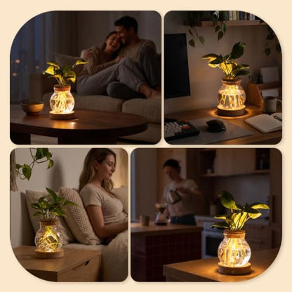 Plant Propagation Station with Wooden Saucer, Glass Terrarium with Stepless Dimming Function Hydroponic Glass Container Vase Jars Gardening Gifts for Mom Women Plant Lovers(2 Pack) - color: Clear 2 Pack