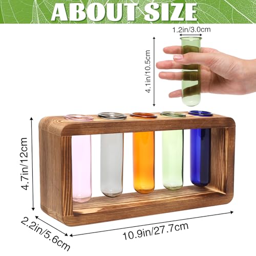 Glass Plant Propagation Station with 5 Test Tubes Colorful Planter Vase - color: Color-01