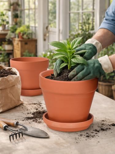 INGOFIN Terracotta Pots Set with Saucer - 2-Pack Ceramic Clay Planters with Drainage Hole, Garden Flower Succulent Pots with Tray for Indoor Outdoor Plants, 8 inch, Set of 2 - size: 8/8 inch -2 pcs