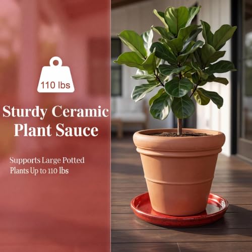 11.4 Inch Ceramic Plant Saucer, Rainforest Red - color: Rainforest Red