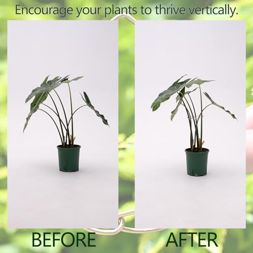 5PCS 4.13*2.95in Monstera Stem Support-Keep Plants Healthy&Upright - size: 4.13 x 2.95 inches