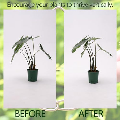 5PCS 4.13*2.95in Monstera Stem Support-Keep Plants Healthy&Upright - size: 4.13 x 2.95 inches