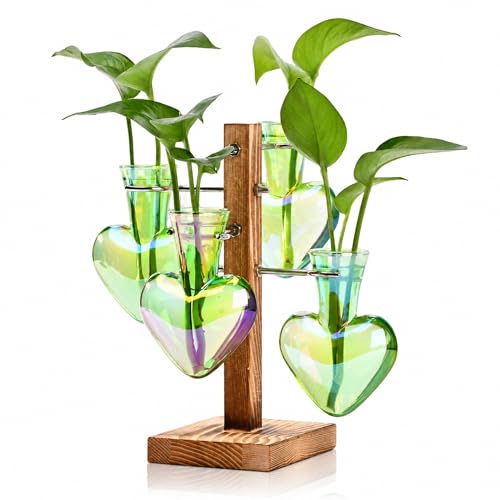 Nacome Plant Terrarium Propagation Stations: Green Vase with Wooden Stand - color: Green