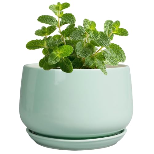 G EPGardening Ceramic Plants Pots - 4 inch Plant Pots Indoor, Green - color: Mint Green, size: 4 Inch