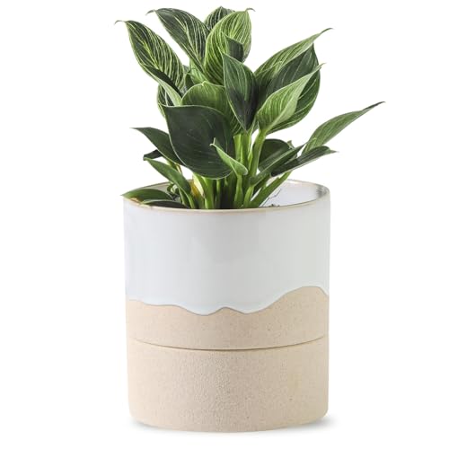 Nihow Self Watering Plant Pot: 4.5 Inch Ceramic Planter with Drainage Hole & Water Storage Plus for Indoor & Outdoor Plants - Cylinder Flower Pot for Herbs/Violets - White & Nature - color: White & Nature, size: 4.5" Self Watering