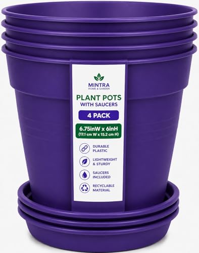 Mintra Garden Pots, 4 Pack Bulk Plastic Plant Pots with Drainage Tray, Round Indoor & Outdoor Decorative Planters with Drain Holes for Flowers, Herbs & Plants, 17cm Diameter – Purple, 6.6 in - color: Purple, size: 17cm Diameter (6.6in)