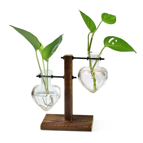 XXXFLOWER Plant Propagation Station Terrarium Wooden Stand 2 Love Bulb Vase - color: Transparent