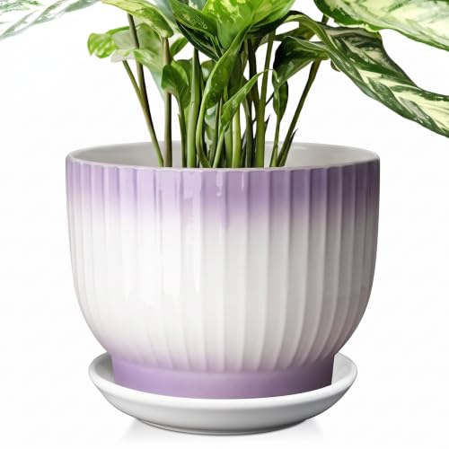 8 Inch Ceramic Plant Pot,Purple + White - color: Purple + White, size: 8 Inch(1 PCS)
