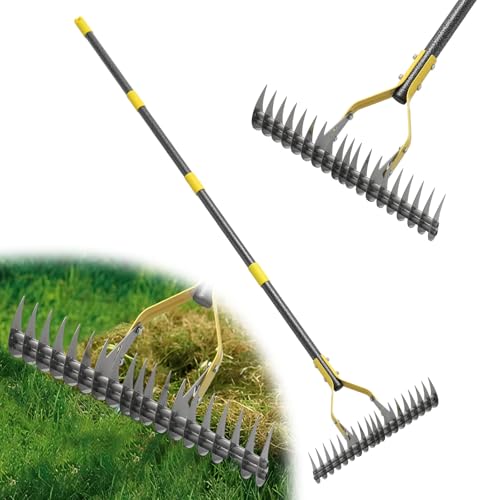 Thatch Rake,69 Inch Garden Thatching Rake for Grass Removal, 15 Inch Wide Heavy Duty 19 Teeth Steel Metal Garden Leaf Rakes,Landscaping Raking Garden Tools for Lawn Care Loosening Leveling Soil Mulch - style: Black-69"