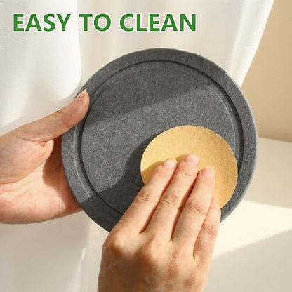 Augshy Plant Saucers, 2 Pack 10 Inch Diatomaceous Earth Instant Dry Tray - size: 10 Inch