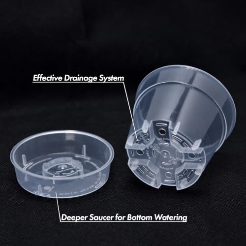 3 Inch Clear Plastic Plant Pot with Drainage Holes, Interlocking & Detachable Tray - Deep Saucer - Durable BPA-Free Plastic, Transparent Design, Raised Base for Airflow, Set of 6, 92-X-A-1 - size: 3" x 2.5"