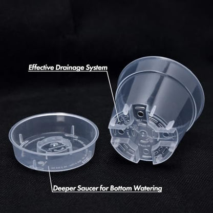 3 Inch Clear Plastic Plant Pot with Drainage Holes, Interlocking & Detachable Tray - Deep Saucer - Durable BPA-Free Plastic, Transparent Design, Raised Base for Airflow, Set of 6, 92-X-A-1 - size: 3" x 2.5"