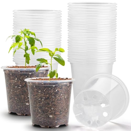 RooTrimmer 3.5" Clear Seeding Pots 100-Pack Round for Seeds Starter Pots, Seeds Germination Transparent Nursery Pots with Drainage Holes (100PCS) - size: 3.5Inch 100P