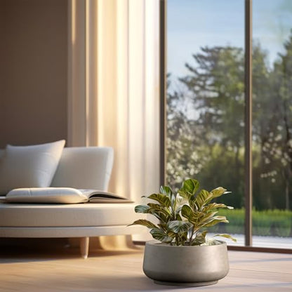 Kante Large Round Bowl Weathered Concrete Planter 17.3" Dia, Outdoor - color: Weathered Concrete, size: 16.1" Dia