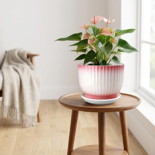 8 Inch Ceramic Plant Pot, Pink + White - color: Pink + White, size: 8 Inch(1 PCS)