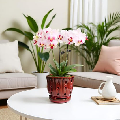 Ceramic Orchid Pot with Drainage Hole 6'' Orchid Planter (Red) - color: Red