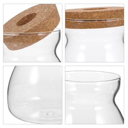 ULTECHNOVO Large Glass Plant Terrarium with Hole Lid - 6.3" Trapezoid Hydroponic Propagation Vase - Clear Desktop Planter Station for Indoor Water Plants, Monstera, Pothos Cuttings - size: 17.6 Ounces