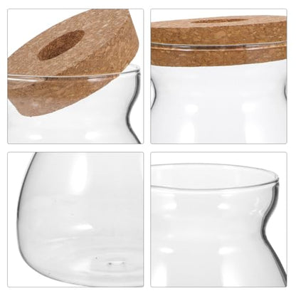 ULTECHNOVO Large Glass Plant Terrarium with Hole Lid - 6.3" Trapezoid Hydroponic Propagation Vase - Clear Desktop Planter Station for Indoor Water Plants, Monstera, Pothos Cuttings - size: 17.6 Ounces
