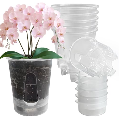 Cdd's Path Upgraded 5-Pack 6 Inch Naked Root Planter Self Watering Pots Set, Plant Pots with Holes for Indoor/Outdoor Plants with Watering Hole/Reservoir and Air Pipes, Clear - size: 5 Pack-6 inch(Upgraded )