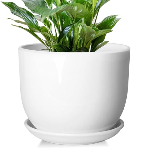 8 Inch Ceramic Plant Pot,Ceramic Planter,White - size: 8 Inch 1 Pc