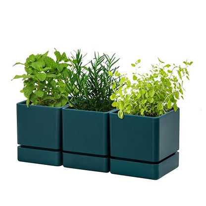 D'vine Dev 3-Pack Plastic Herb Planter Pots, 4 in, Green, 76-Y-C-1 - color: Green, size: 12 Inch x 4.5 Inch